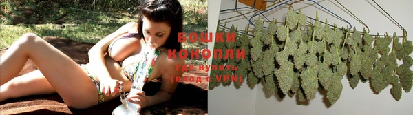apvp Костерёво