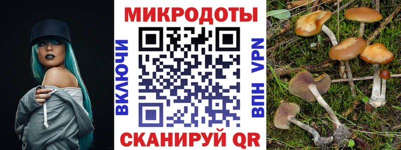 Галлюциногенные грибы прущие грибы  Новосиль 